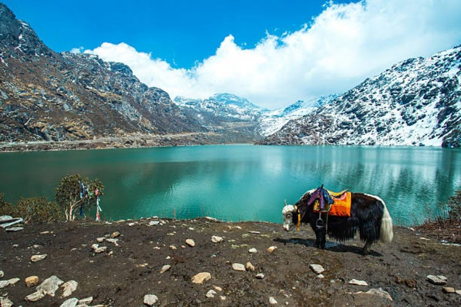 Darjeeling & Gangtok Tour Package