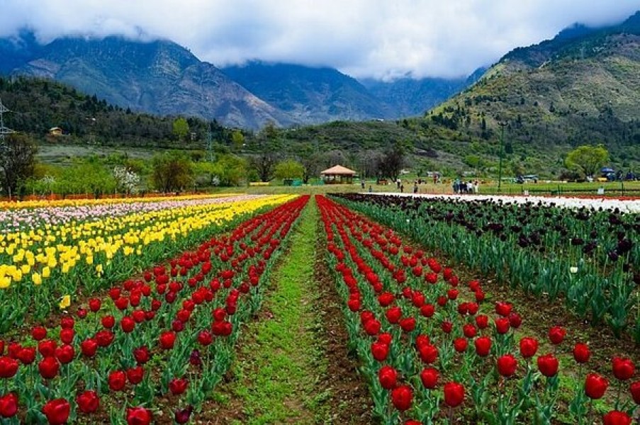 Mesmerizing Kashmir