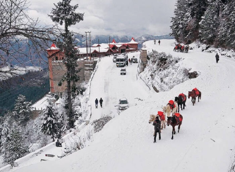 Himachal Delight