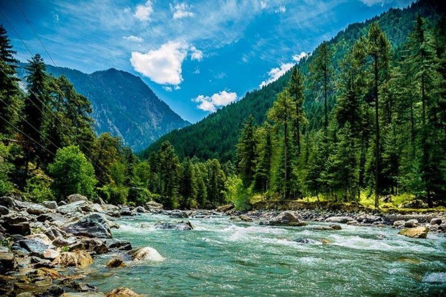 Himachal Delight