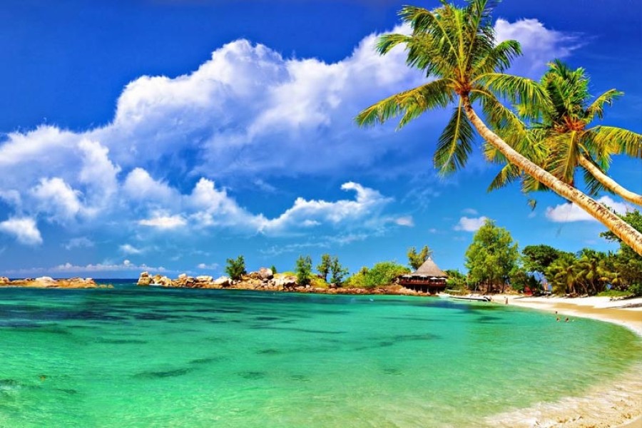Andaman Bliss
