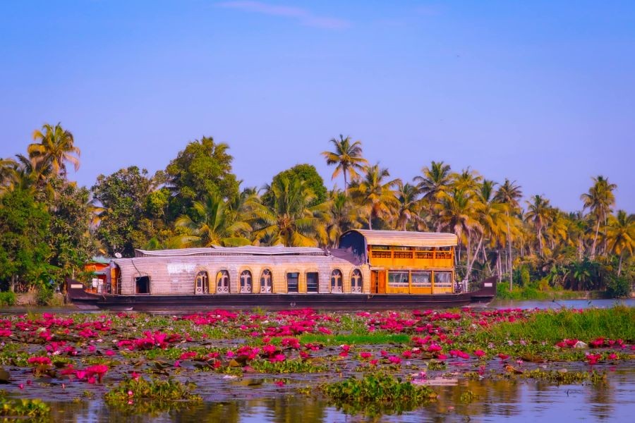 Kerala Delight