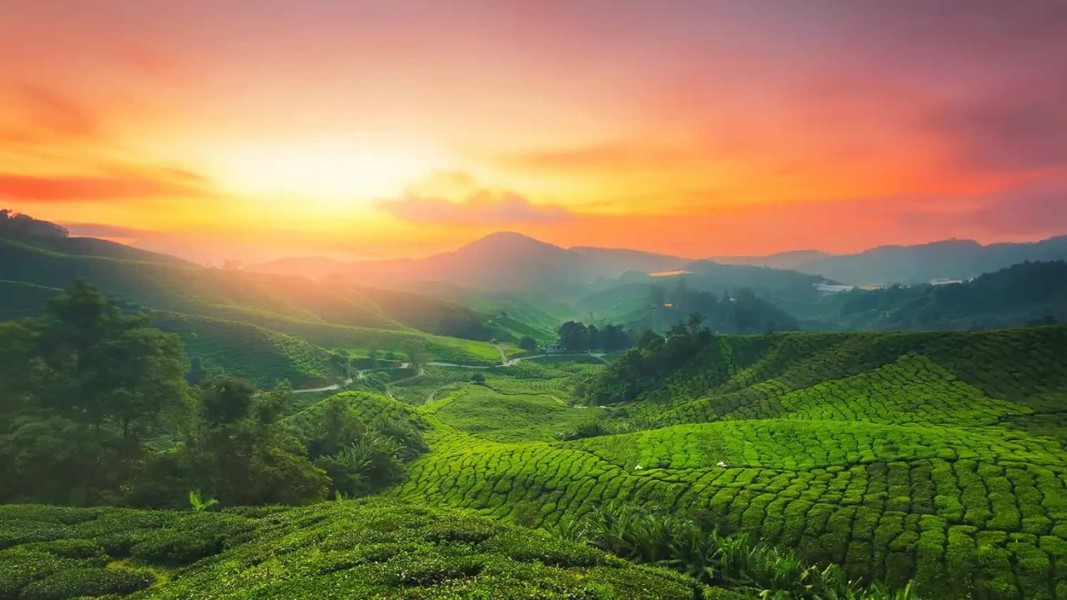 Kerala Delight