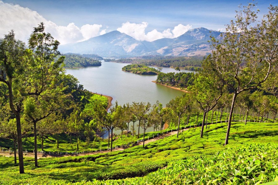 Kerala Delight