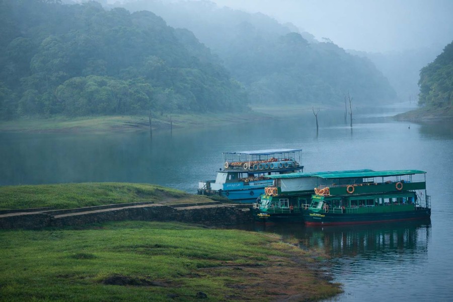 Kerala Delight